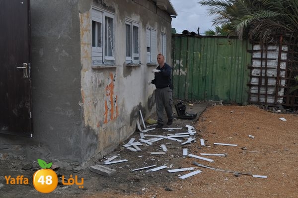 kaneswa7akhdra2lud316 (19).JPG